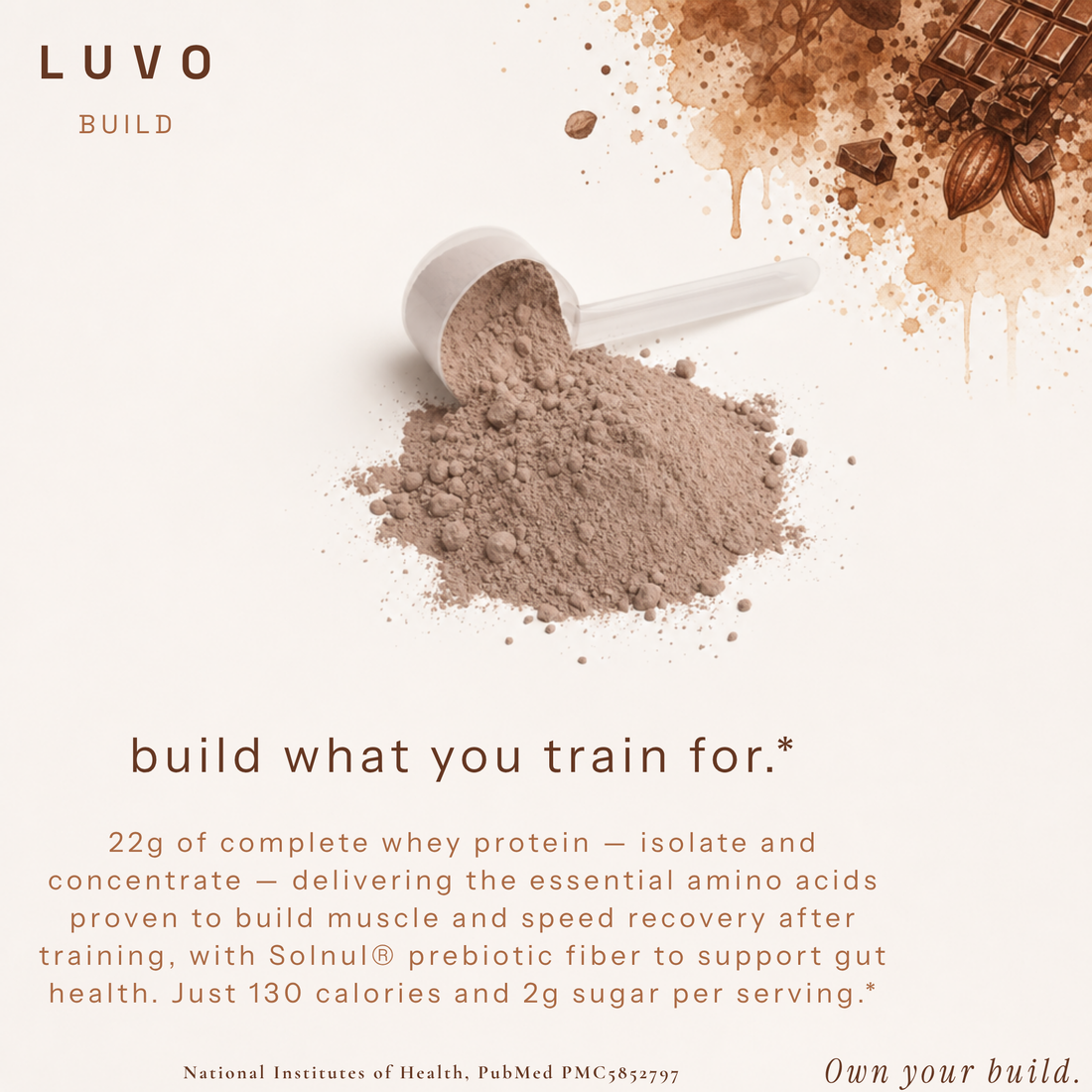 BUILD (CHOCOLATE)