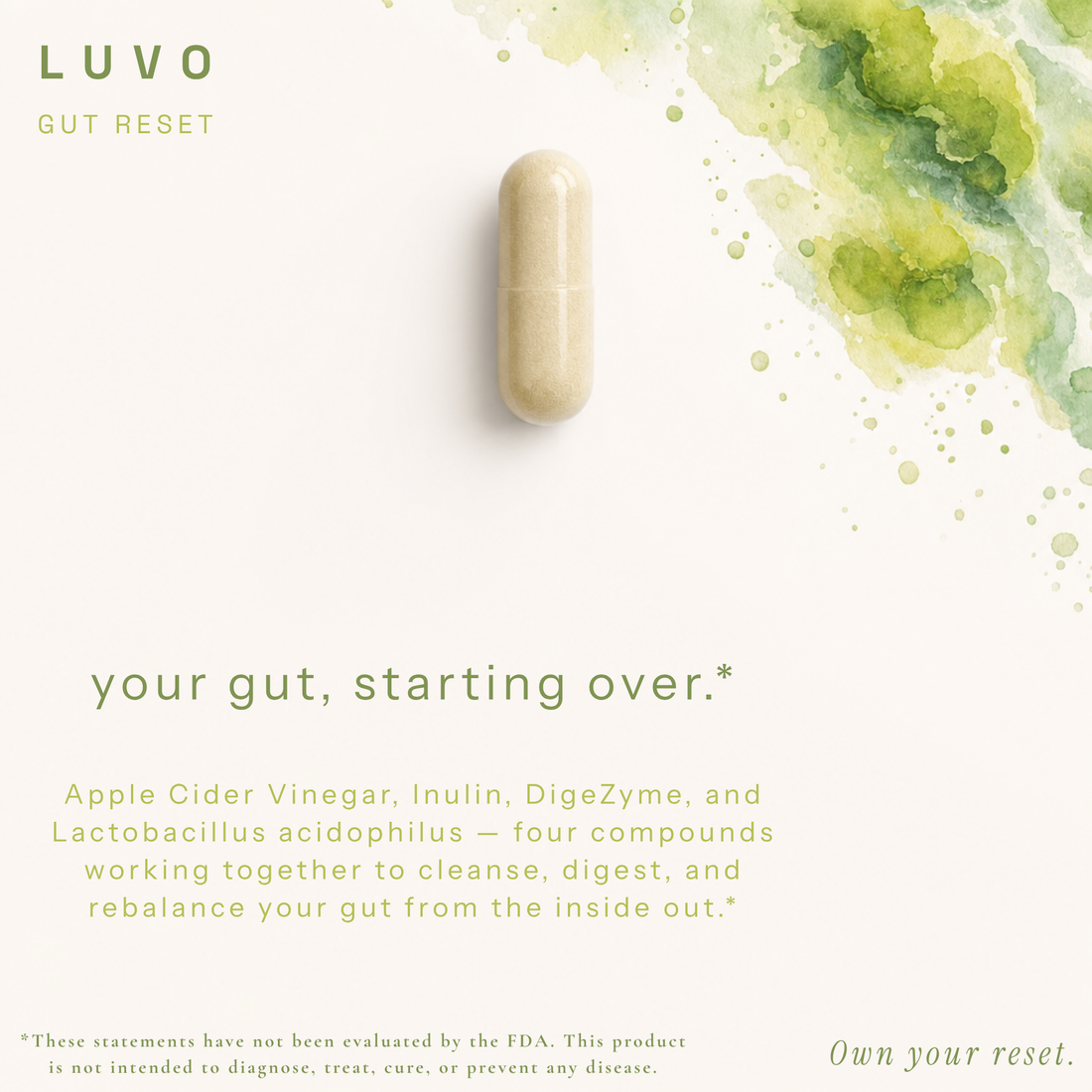 GUT RESET
